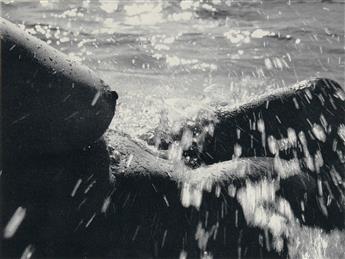 LUCIEN CLERGUE (1934-2014) Portfolio entitled Née de la Vague [Born of the Wave].